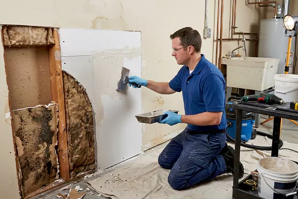 Mold and Drywall Repair American Fork