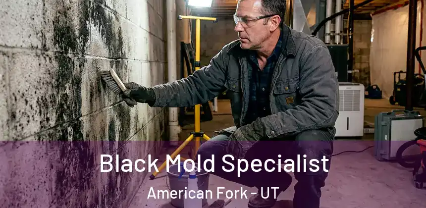  Black Mold Specialist American Fork - UT