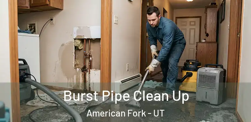 Burst Pipe Clean Up American Fork - UT