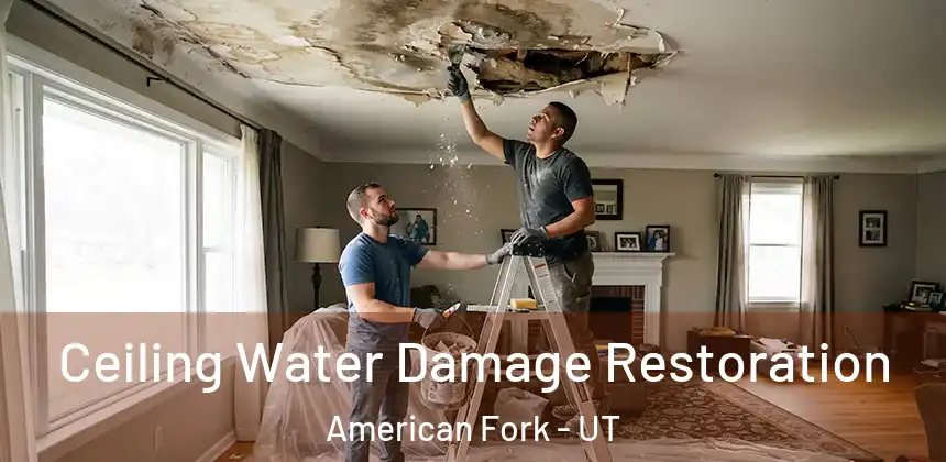  Ceiling Water Damage Restoration American Fork - UT