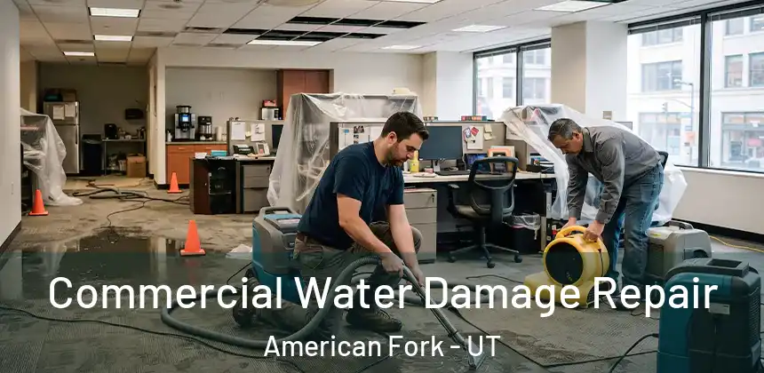  Commercial Water Damage Repair American Fork - UT