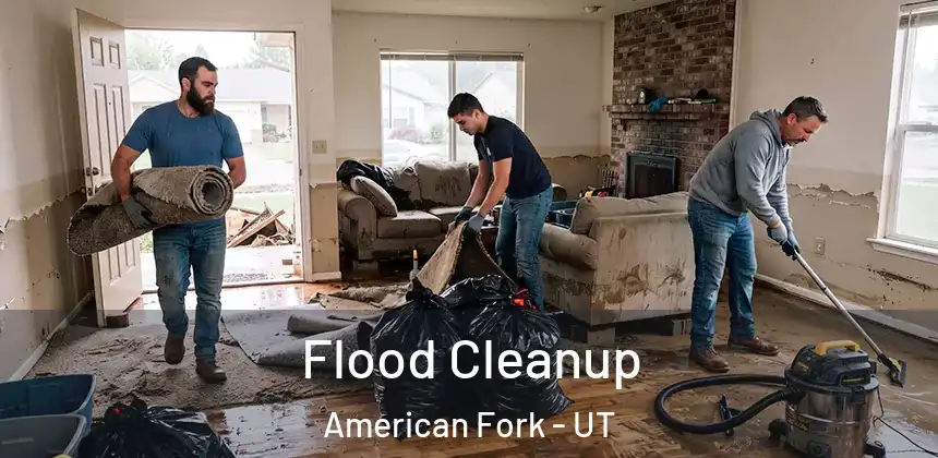  Flood Cleanup American Fork - UT