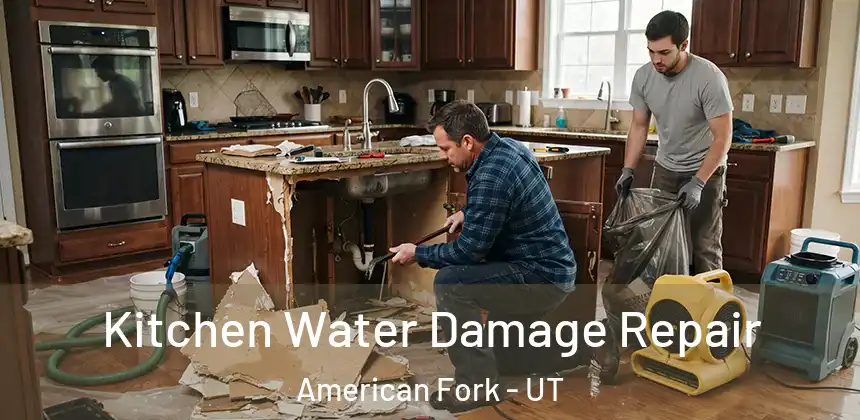  Kitchen Water Damage Repair American Fork - UT