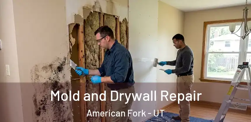  Mold and Drywall Repair American Fork - UT