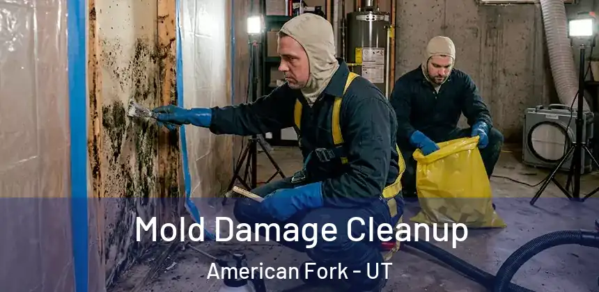  Mold Damage Cleanup American Fork - UT