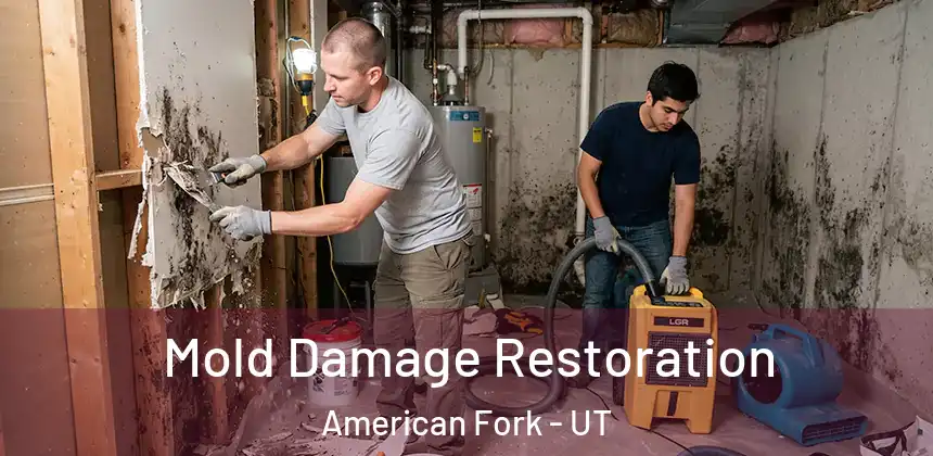  Mold Damage Restoration American Fork - UT