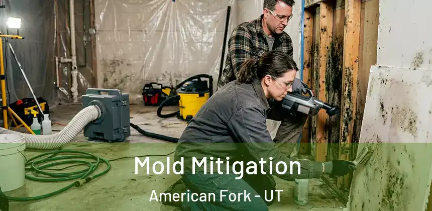  Mold Mitigation American Fork - UT