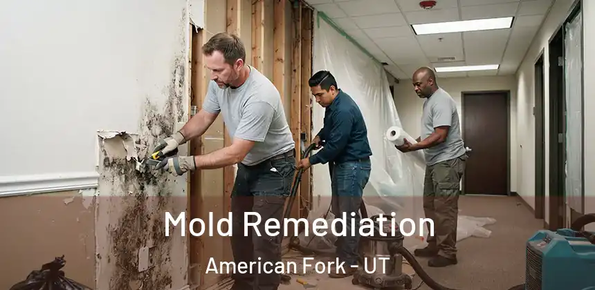  Mold Remediation American Fork - UT