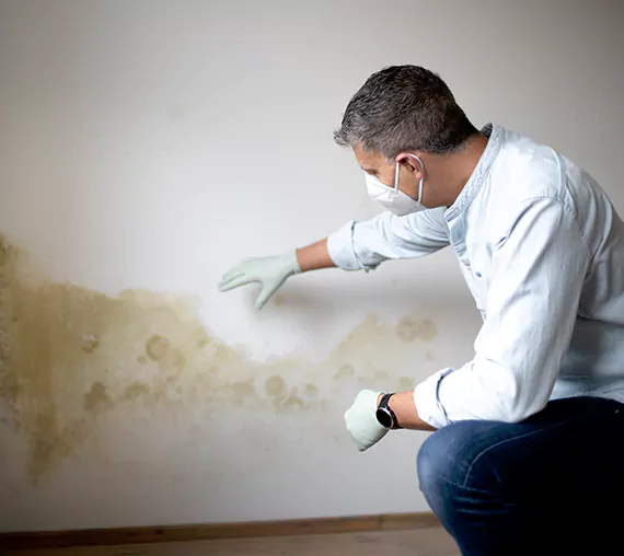 Mold Removal Service in American Fork, UT