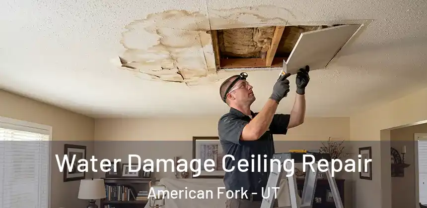  Water Damage Ceiling Repair American Fork - UT