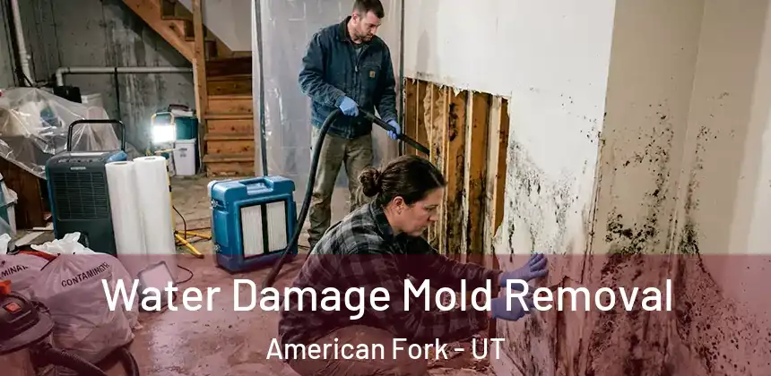  Water Damage Mold Removal American Fork - UT