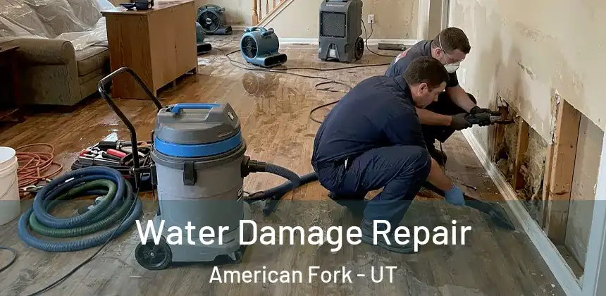  Water Damage Repair American Fork - UT