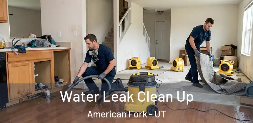  Water Leak Clean Up American Fork - UT