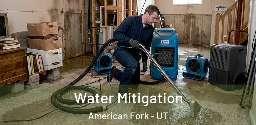  Water Mitigation American Fork - UT