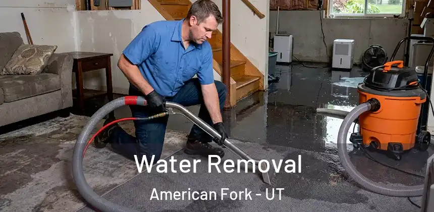  Water Removal American Fork - UT