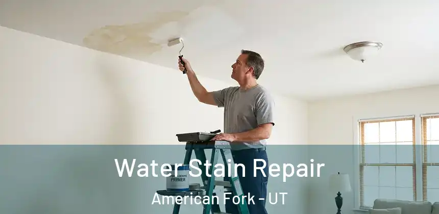  Water Stain Repair American Fork - UT